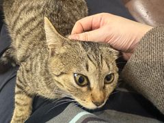 -吉友粥底火锅(方斜路店)