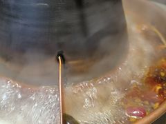 -东镇老火锅(长春路首店)