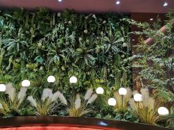 点击看大图 -花隐·美芙炫海菲秀皮肤管理中心