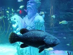 -沈阳海洋探索中心