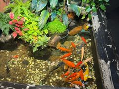 -隐炉和牛烧肉店(群力店)