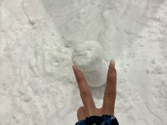 -世界之窗阿尔卑斯冰雪世界