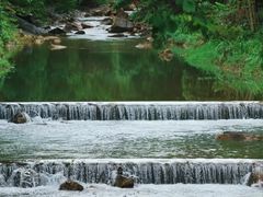 -广州白江湖森林公园