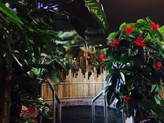 -泉城欧乐堡戏水湾艺术养生温泉