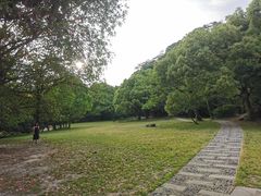 -鲁镇