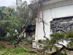 -团城山公园