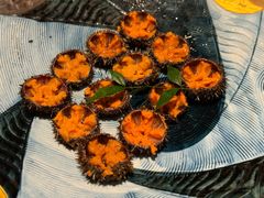 海胆不限量畅吃-Minase水濑·日料放题(外滩店)