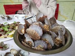 -宾朋海鲜美食特色餐厅·纯手工鲅鱼水饺(兴海路店)