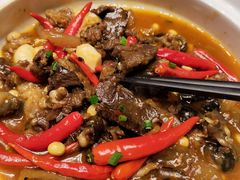 -院里寻菜·精致庭院菜(观沙岭店)