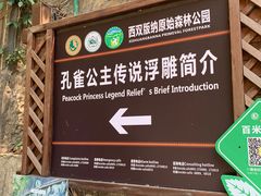 -西双版纳原始森林公园