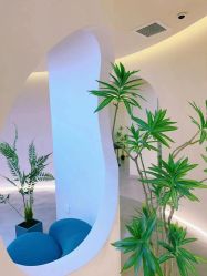 -VE专注问题肌·赛诺龙&科学美肤中心