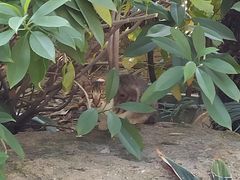 -厦门日月谷温泉渡假村