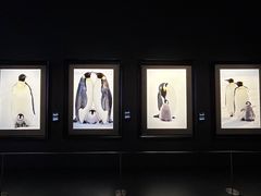 -罗红摄影艺术馆