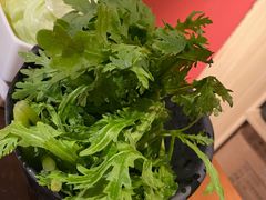 -渡娘火锅(大兴大悦春风里店)