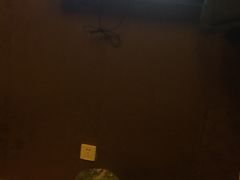 -鸿喜足健康足道采耳艾灸(南纬路店)