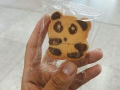 -熊猫一间店欧式奶茶铺