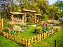 -上海共青森林公园