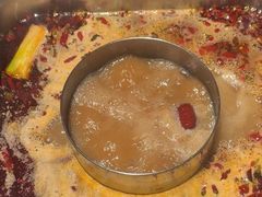 -鼎膳常火锅(华阳店)