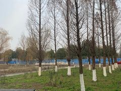 -南京信息职业技术学院