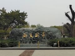 -张掖大佛寺景区