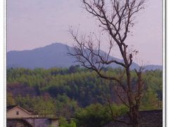 -塔川景区