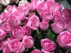 -循礼门鲜花花市(武汉循礼门店)