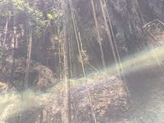 -中岜朗天坑(CV GEO INDO RAYA)