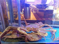 -千代武日本料理(爱建店)