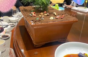 Stream-Wrapped Bamboo in Clear Water