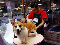 -FAELING PETS美天灵宠物(富力广场店)