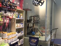 -PETKIT 小佩宠物·低压洗护·美容·寄养(安远店)