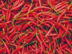 -野水沟小商品批发市场