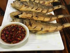 烤黄鱼-肥仔濑尿虾(全球通总店)