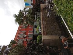 -大湾区中央湿地公园-十九涌