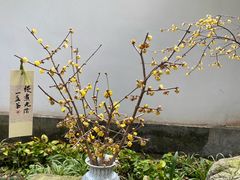 -成都杜甫草堂博物馆