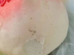 -前门老正兴总店