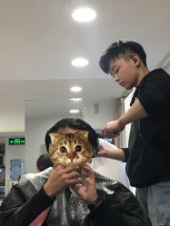 -AFA Hair studio·女士发型设计