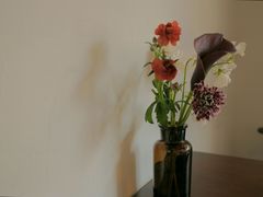 -竹子咖啡bamboo coffee