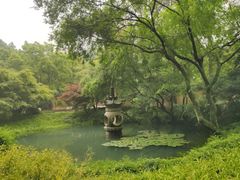 -慧因高丽寺
