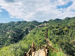 -大岭沟猕猴桃谷风景区