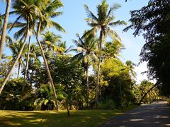 -三亚珠江南田温泉度假区