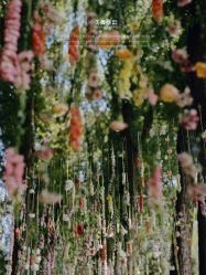 -美薇亭婚礼顾问