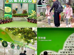 -盈香心动乐园