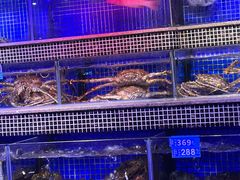 -青蓬蒸汽海鲜·深圳老字号·团建聚会(壹方城店)