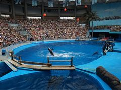 -重庆海昌加勒比海水世界