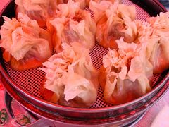 -北三沙家烧麦(北头道街店)