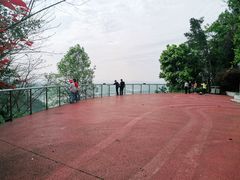 -铁山坪森林公园