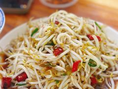 炒豆芽-三中高皇羊肉馆