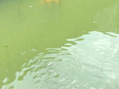 -乌镇枕水度假酒店