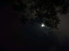 -四海公园(南山区)